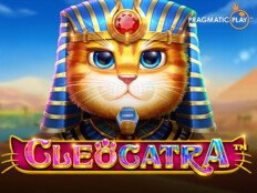 Sahibi ortağı yetkilisi olduğum ticari işletme ve şirketler. Mega moolah casino game.71